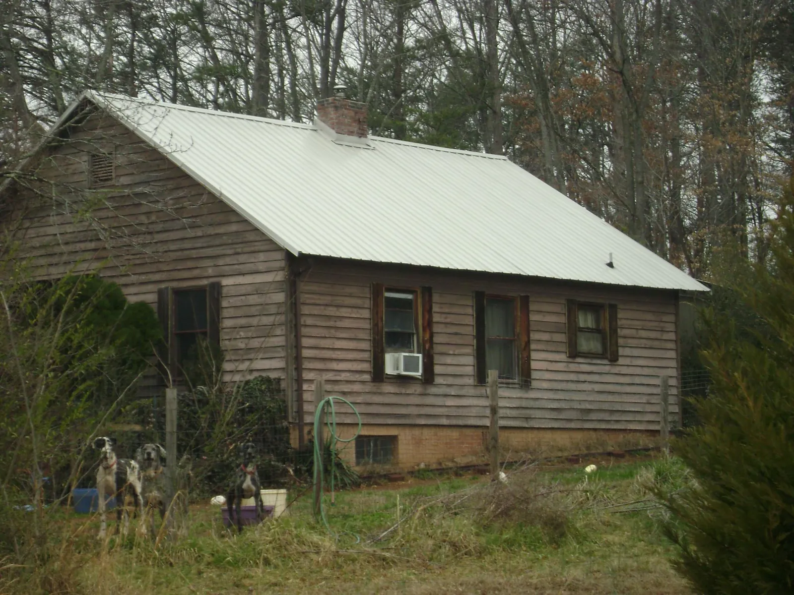 White metal roof on an old wood sided farmhouse, from a Asphalt Shingle Roof Repair job in Alma